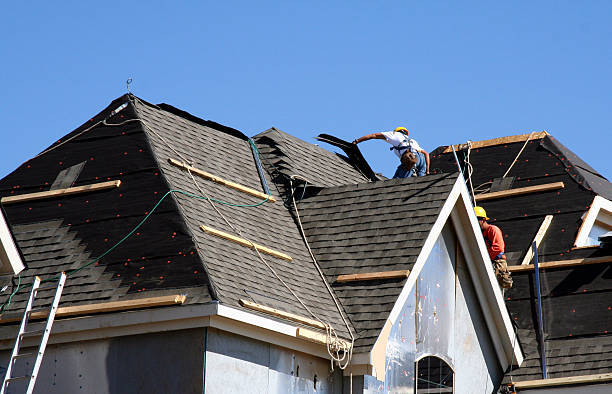 Best Roof Leak Repair  in Forest City, FL