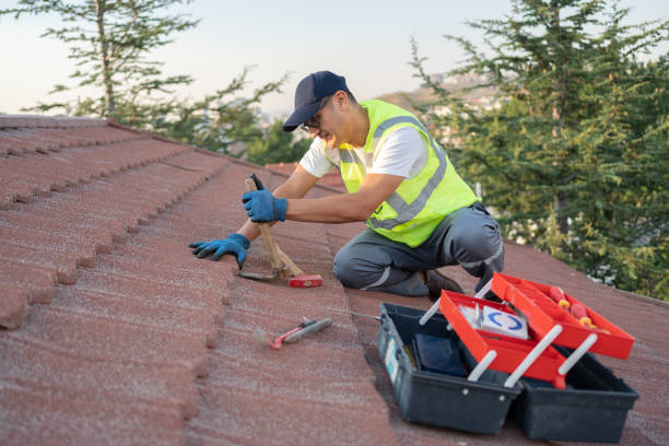 Best Storm Damage Roof Repair  in Forest City, FL