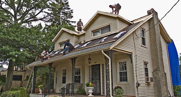 Best Residential Roofing Contractor  in Forest City, FL