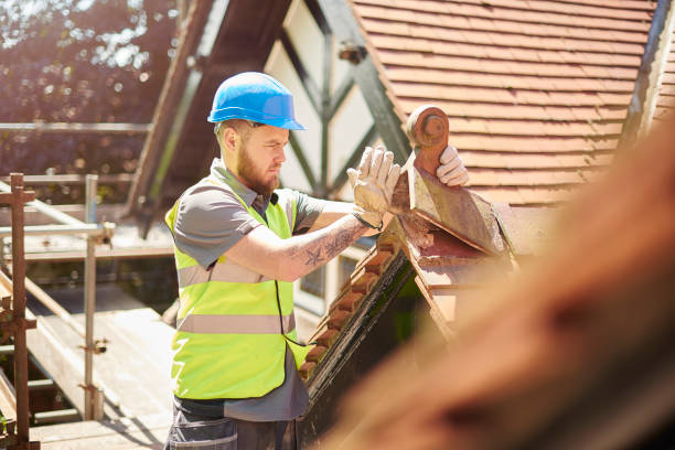 Best Flat Roof Repair Services  in Forest City, FL